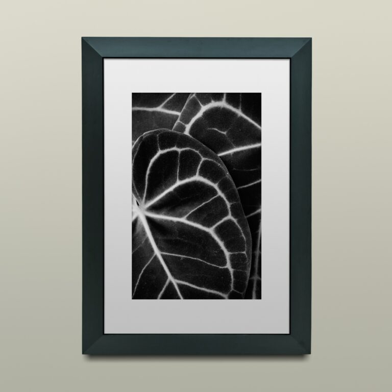 Artwork in a frame mockup